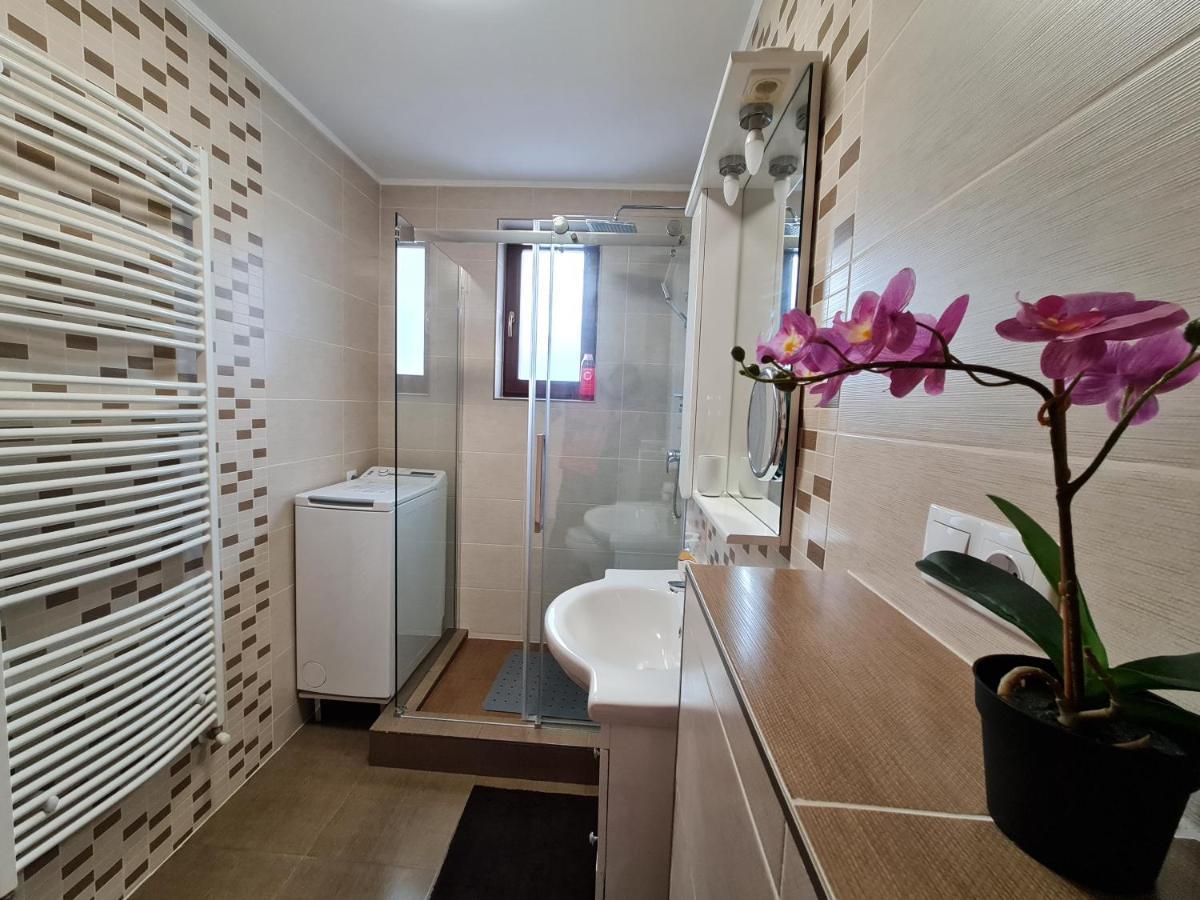 Select City Center Târgu-Mureş 外观 照片